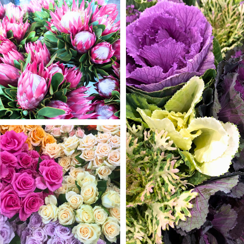 Flowers