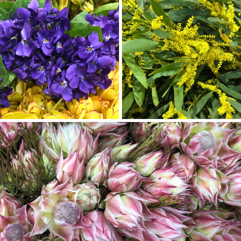 Flowers