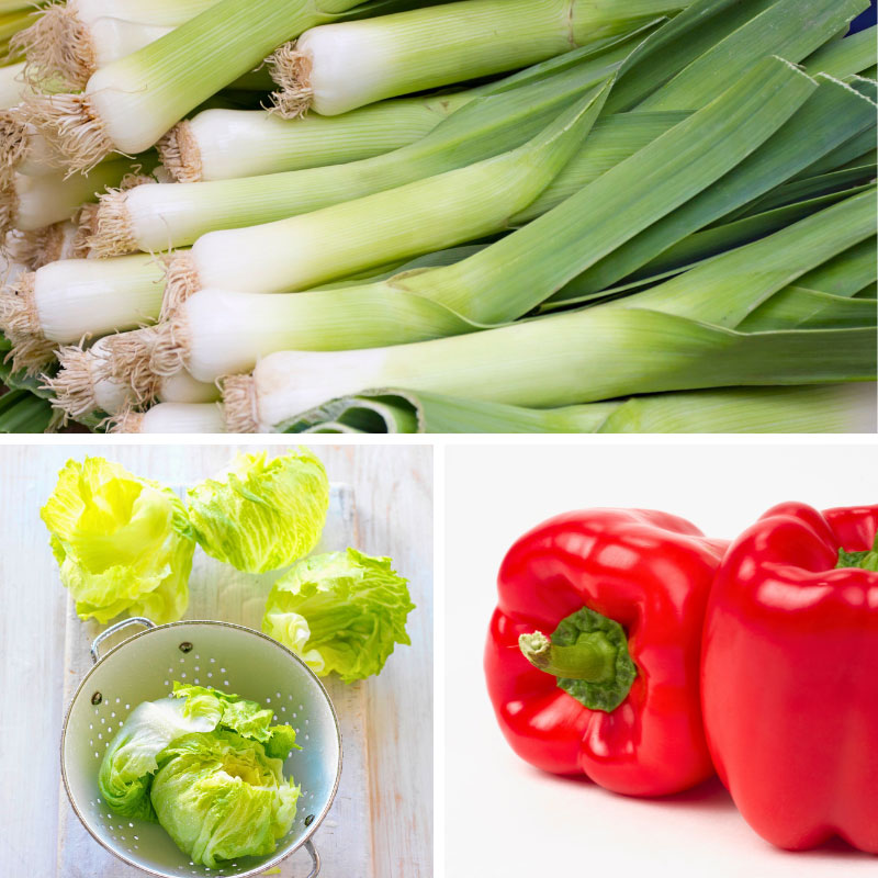 Vegetables