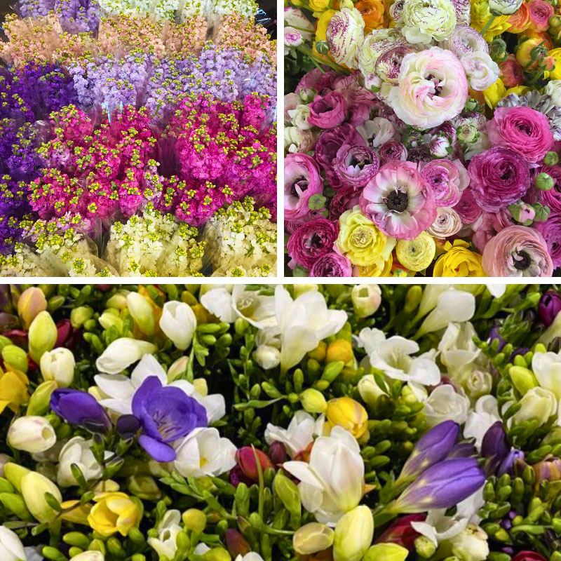 Flowers