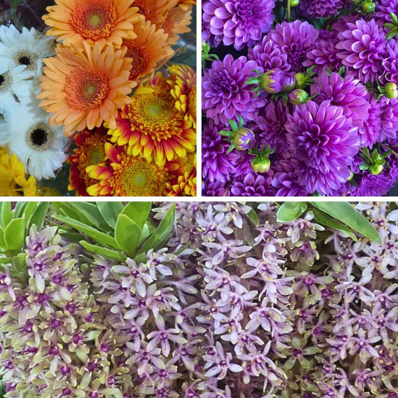 Flowers