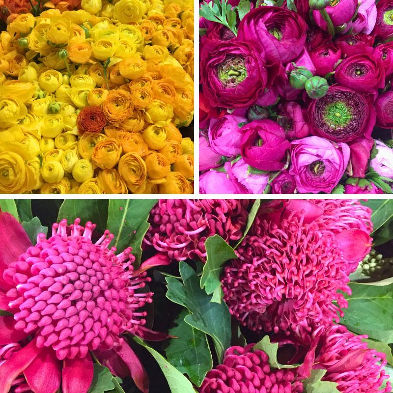 Flowers