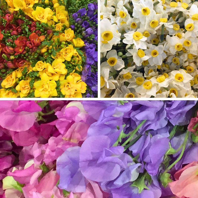 Flowers