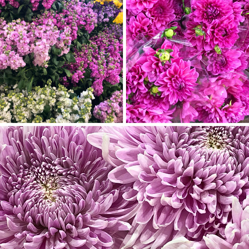 Flowers