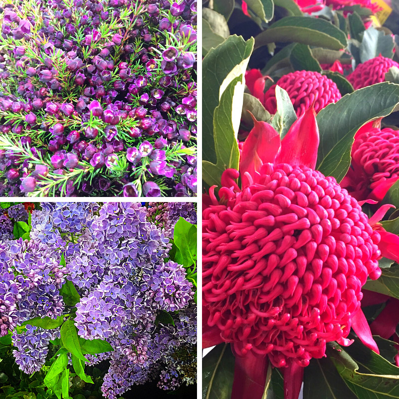 Sydney Markets Fresh Fruit Vegetable & Flower Report Sydney Markets