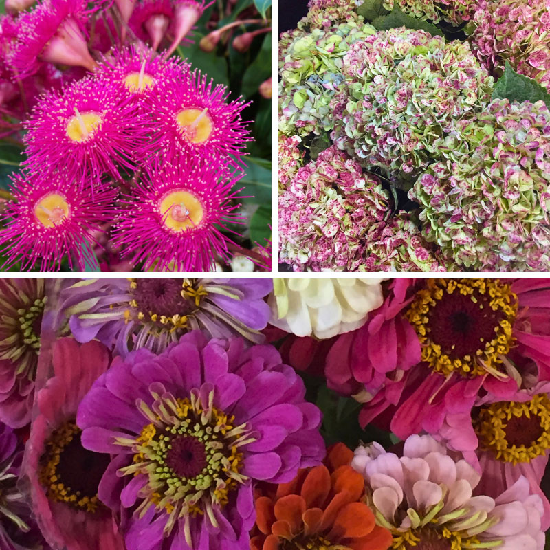 Flowers