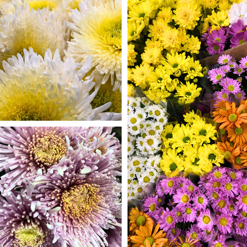 Flowers