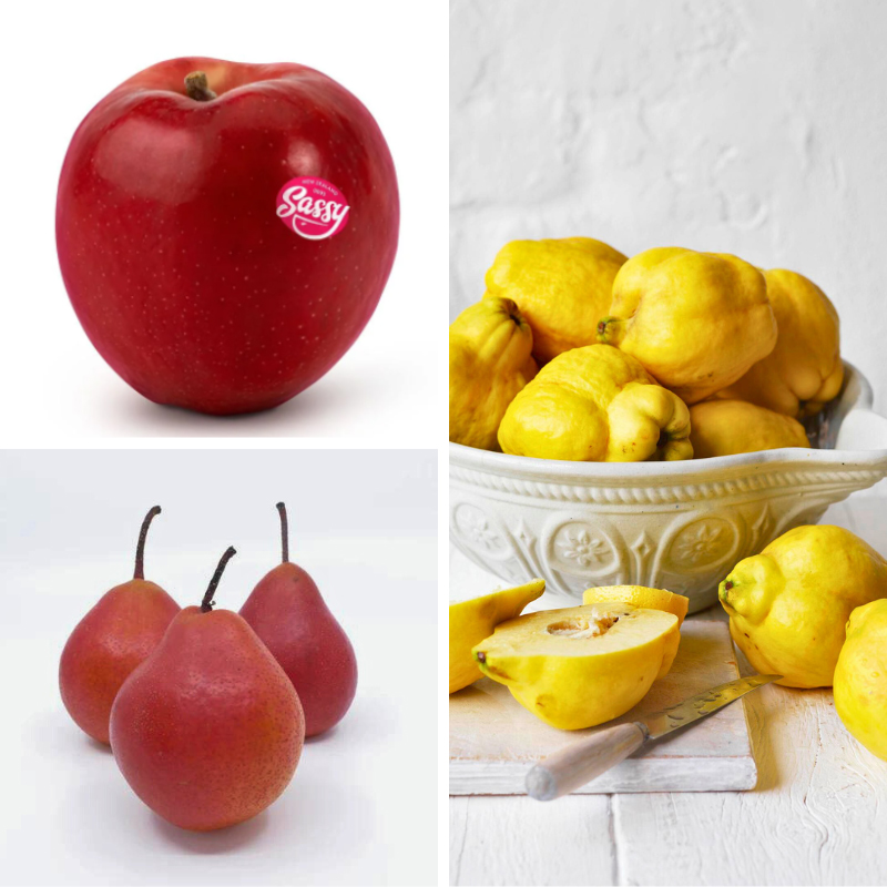 Fruit