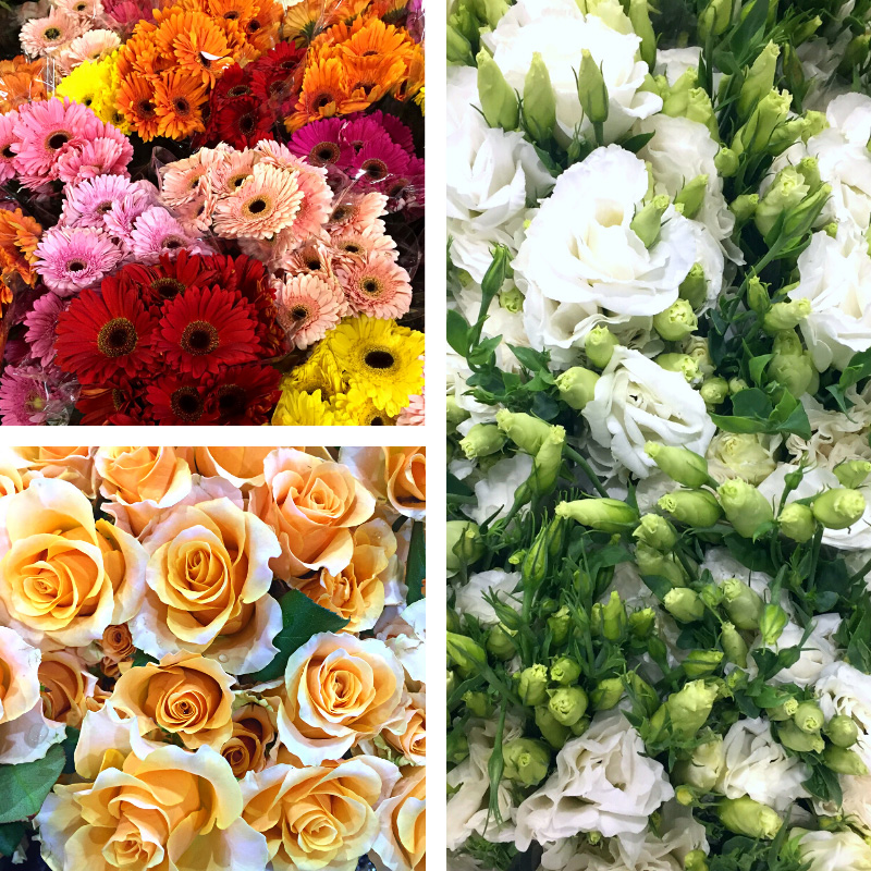 Flowers