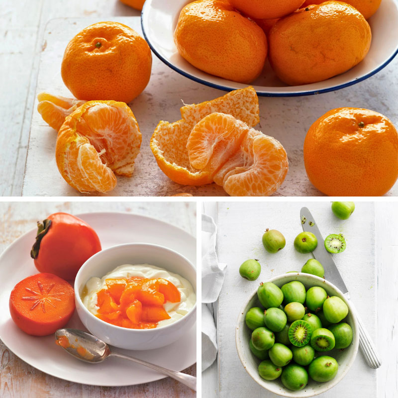 Fruit