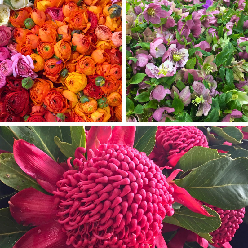 Flowers